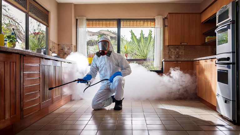 Homem realizando a dedetização de um ambiente